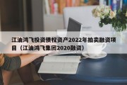 江油鸿飞投资债权资产2022年拍卖融资项目（江油鸿飞集团2020融资）