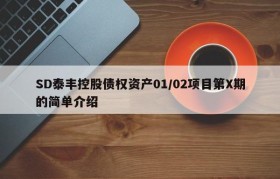 SD泰丰控股债权资产01/02项目第X期的简单介绍