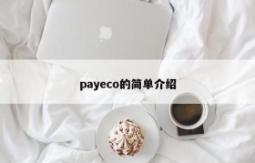 payeco的简单介绍