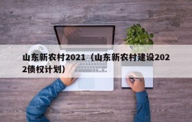 山东新农村2021（山东新农村建设2022债权计划）