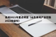 青州2021年重点项目（山东青州产业控股2022收益权）