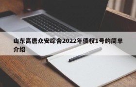 山东高唐众安综合2022年债权1号的简单介绍