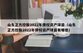 山东正方控股2022年债权资产项目（山东正方控股2022年债权资产项目有哪些）