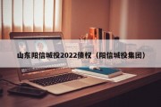 山东阳信城投2022债权（阳信城投集团）