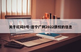 关于红码9号-遂宁广利2022债权的信息