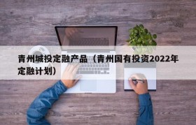 青州城投定融产品（青州国有投资2022年定融计划）