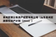 青州宏源公有资产经营有限公司（山东青州宏源债权资产计划（2022））