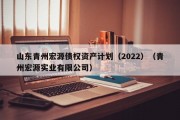 山东青州宏源债权资产计划（2022）（青州宏源实业有限公司）