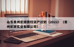 山东青州宏源债权资产计划（2022）（青州宏源实业有限公司）