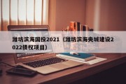潍坊滨海国投2021（潍坊滨海央城建设2022债权项目）