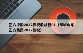 正方控股2022债权收益权01（邹城山东正方集团2022债权）