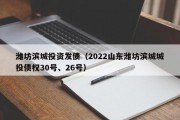 潍坊滨城投资发债（2022山东潍坊滨城城投债权30号、26号）