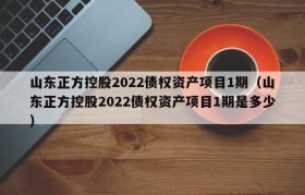 山东正方控股2022债权资产项目1期（山东正方控股2022债权资产项目1期是多少）