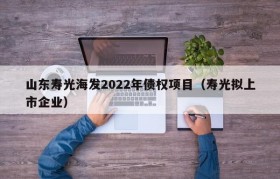 山东寿光海发2022年债权项目（寿光拟上市企业）