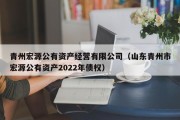 青州宏源公有资产经营有限公司（山东青州市宏源公有资产2022年债权）