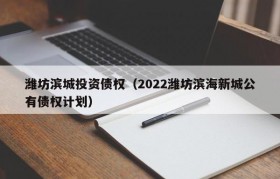 潍坊滨城投资债权（2022潍坊滨海新城公有债权计划）