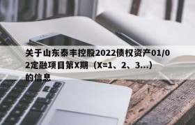 关于山东泰丰控股2022债权资产01/02定融项目第X期（X=1、2、3...）的信息