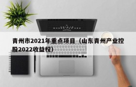 青州市2021年重点项目（山东青州产业控股2022收益权）