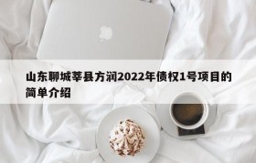 山东聊城莘县方润2022年债权1号项目的简单介绍