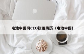 电池中国网CEO张雨简历（电池中国）