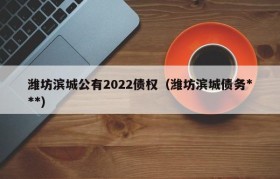 潍坊滨城公有2022债权（潍坊滨城债务***）
