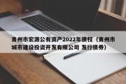 青州市宏源公有资产2022年债权（青州市城市建设投资开发有限公司 发行债券）