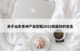 关于山东青州产业控股2022收益权的信息