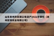 山东青州市宏源公有资产2022年债权（青州宏源实业有限公司）