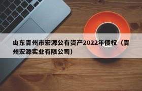山东青州市宏源公有资产2022年债权（青州宏源实业有限公司）