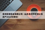 青州宏源实业有限公司（山东青州市宏源公有资产2022年债权）