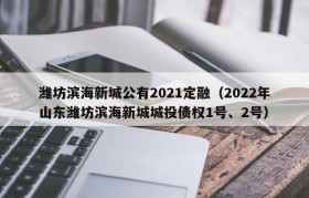 潍坊滨海新城公有2021定融（2022年山东潍坊滨海新城城投债权1号、2号）