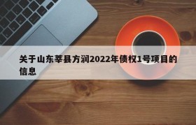 关于山东莘县方润2022年债权1号项目的信息