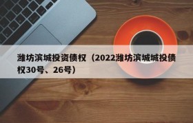 潍坊滨城投资债权（2022潍坊滨城城投债权30号、26号）