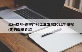 红码玖号-遂宁广利工业发展2022年债权(5)的简单介绍