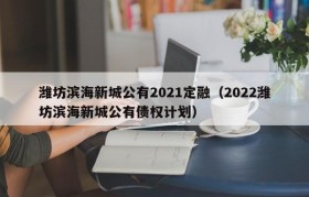 潍坊滨海新城公有2021定融（2022潍坊滨海新城公有债权计划）