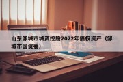 山东邹城市城资控股2022年债权资产（邹城市国资委）