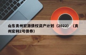 山东青州宏源债权资产计划（2022）（青州宏利2号债券）