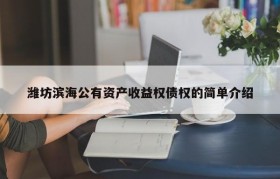 潍坊滨海公有资产收益权债权的简单介绍