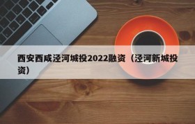 西安西咸泾河城投2022融资（泾河新城投资）