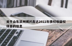 关于山东滨州博兴鑫达2022年债权收益权项目的信息