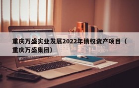 重庆万盛实业发展2022年债权资产项目（重庆万盛集团）