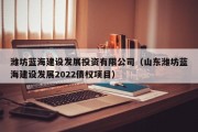 潍坊蓝海建设发展投资有限公司（山东潍坊蓝海建设发展2022债权项目）
