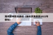 潍坊滨城投资债权（潍坊滨海旅游2022年债权）