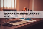 山东寿光海发2022债权项目（寿光大项目102亿）