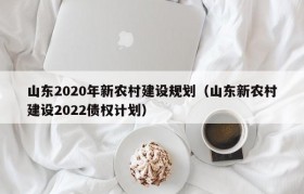 山东2020年新农村建设规划（山东新农村建设2022债权计划）