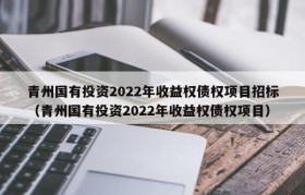 青州国有投资2022年收益权债权项目招标（青州国有投资2022年收益权债权项目）