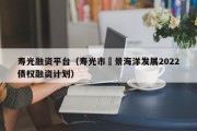 寿光融资平台（寿光市昇景海洋发展2022债权融资计划）