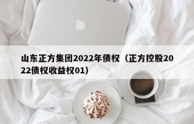 山东正方集团2022年债权（正方控股2022债权收益权01）