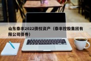 山东泰丰2022债权资产（泰丰控股集团有限公司债券）