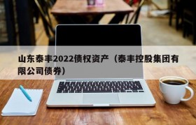 山东泰丰2022债权资产（泰丰控股集团有限公司债券）